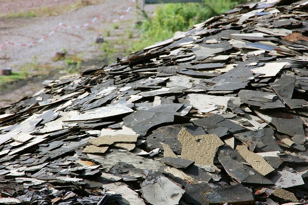 Grube Messel (Detail)