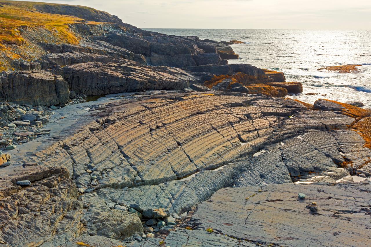 Mistaken Point - Neue Welterbestätte 2016