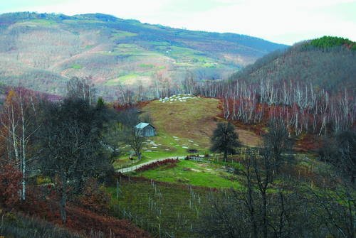 Stećci in Prijepolje, Serbien