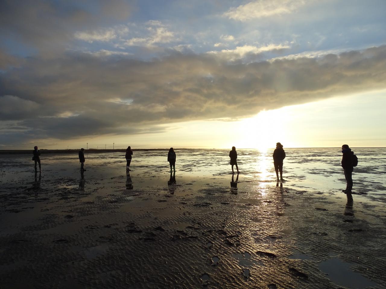 Wattenmeer