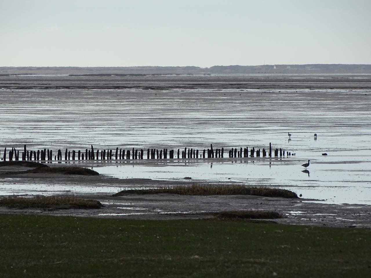 Welterbestätte Wattenmeer