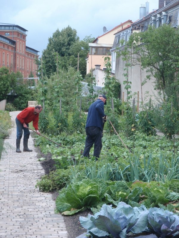 Innerstädtischer Erwerbsgartenbau in Bamberg