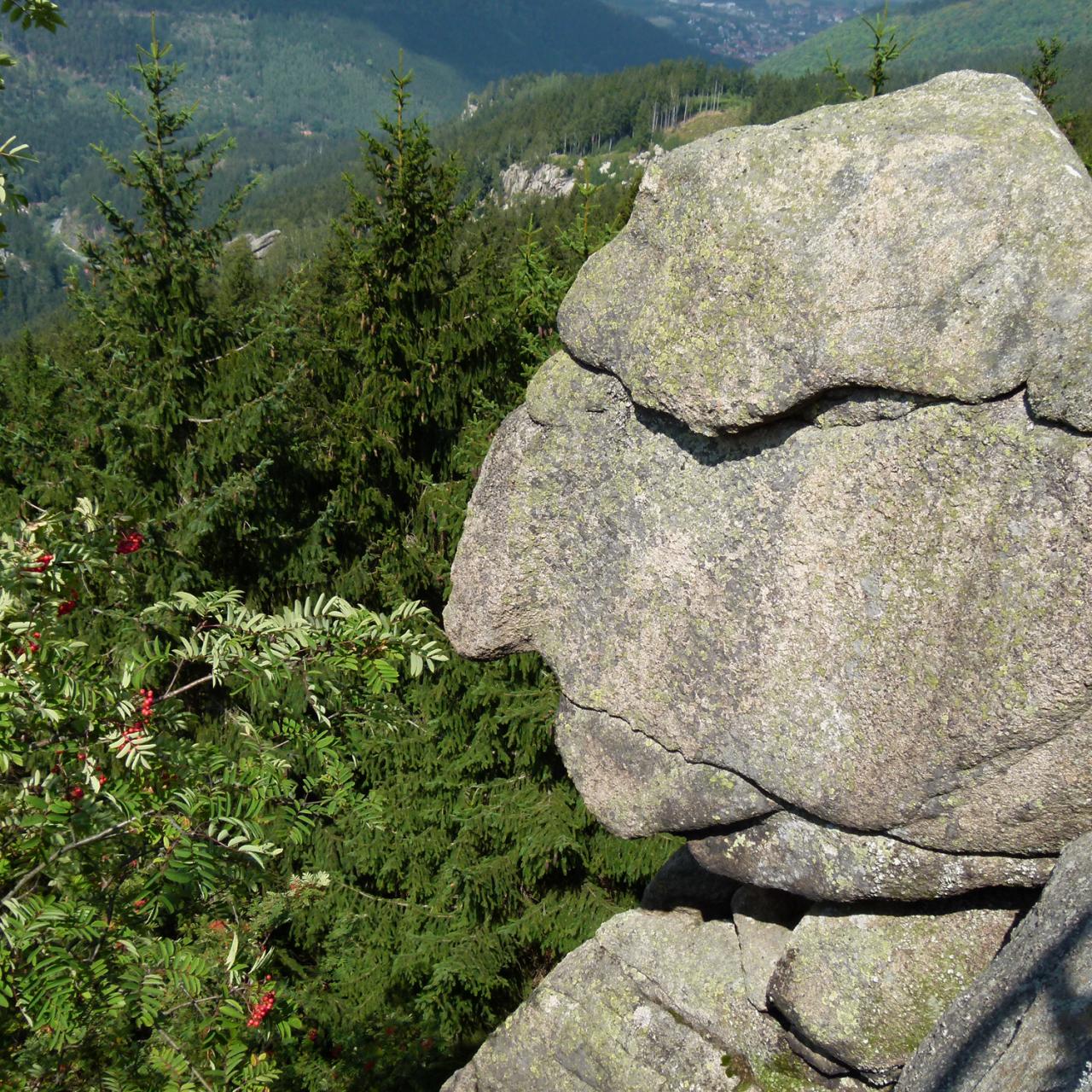 Der Alte vom Berge