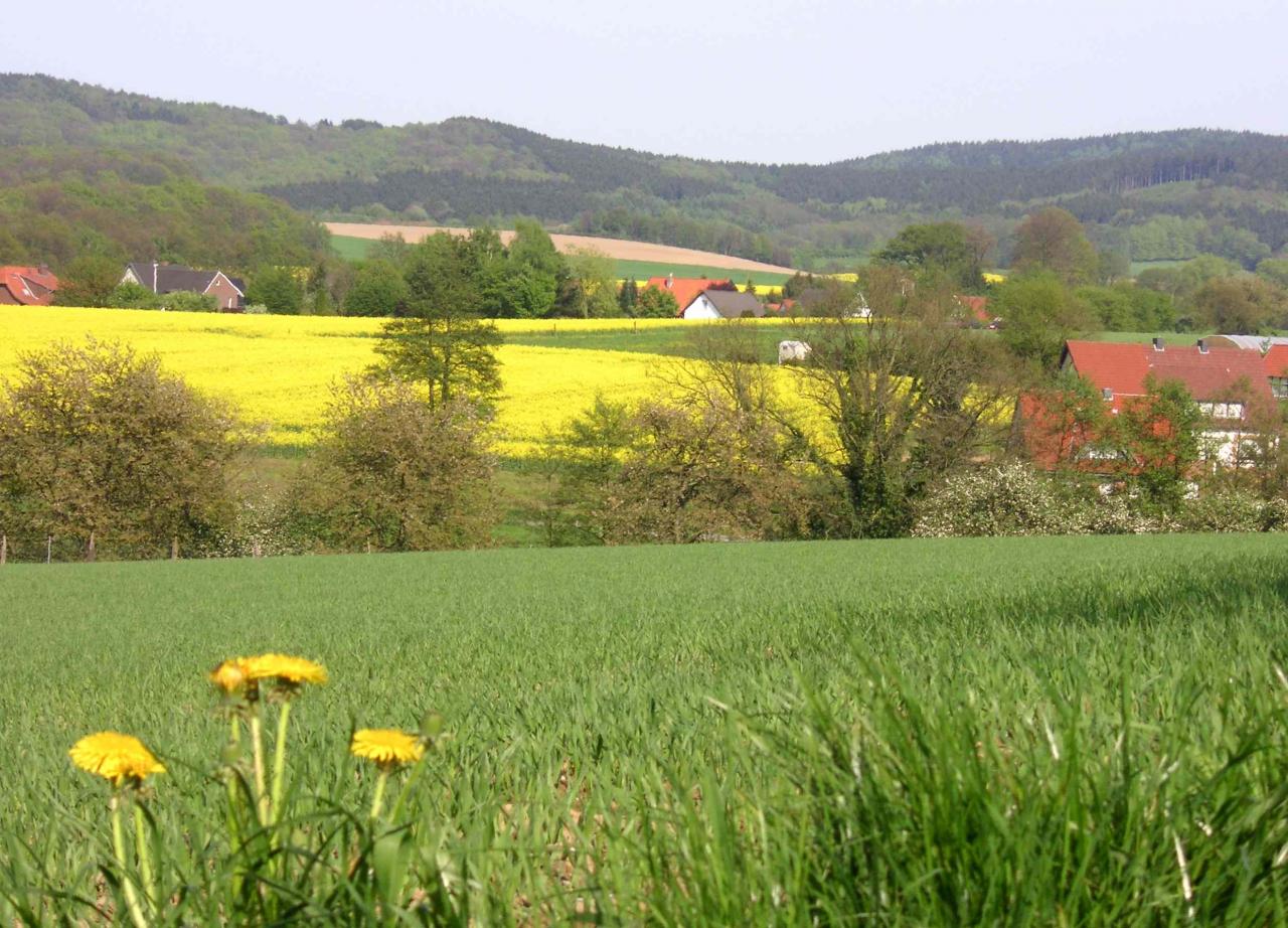 Landschaft