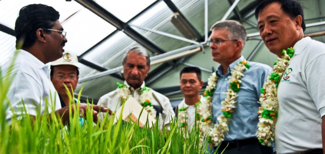 International Rice Research Institute