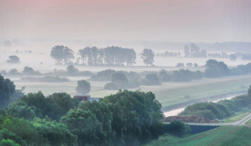 Flusslandschaft der Elbe