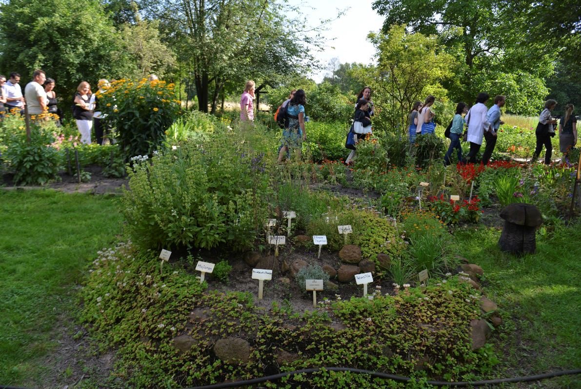 Kräutergarten