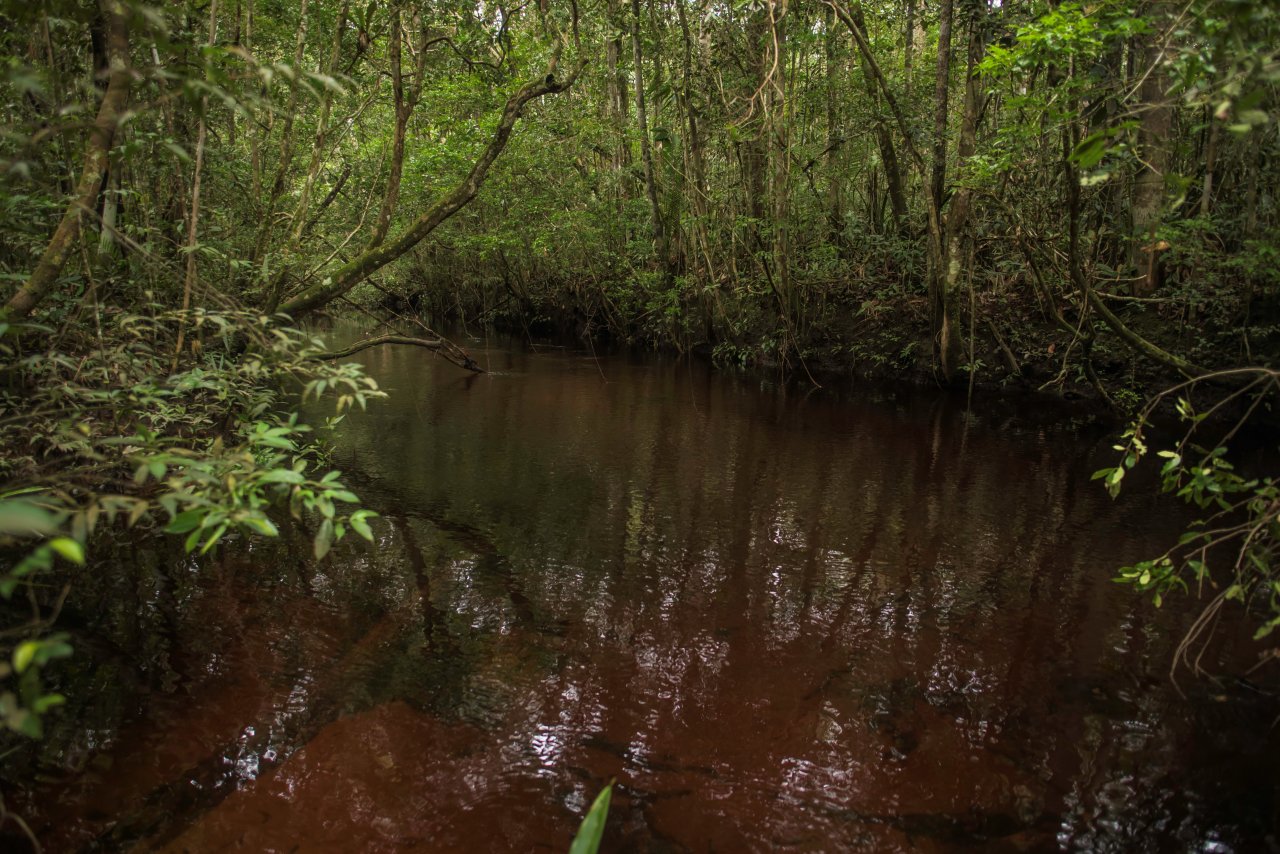 Nationalpark Chiribiquete