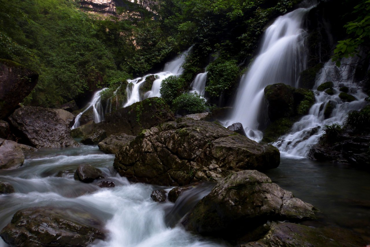 Immergrüne Laubbaumwälder im Mittelgebirge, Fanjingshan