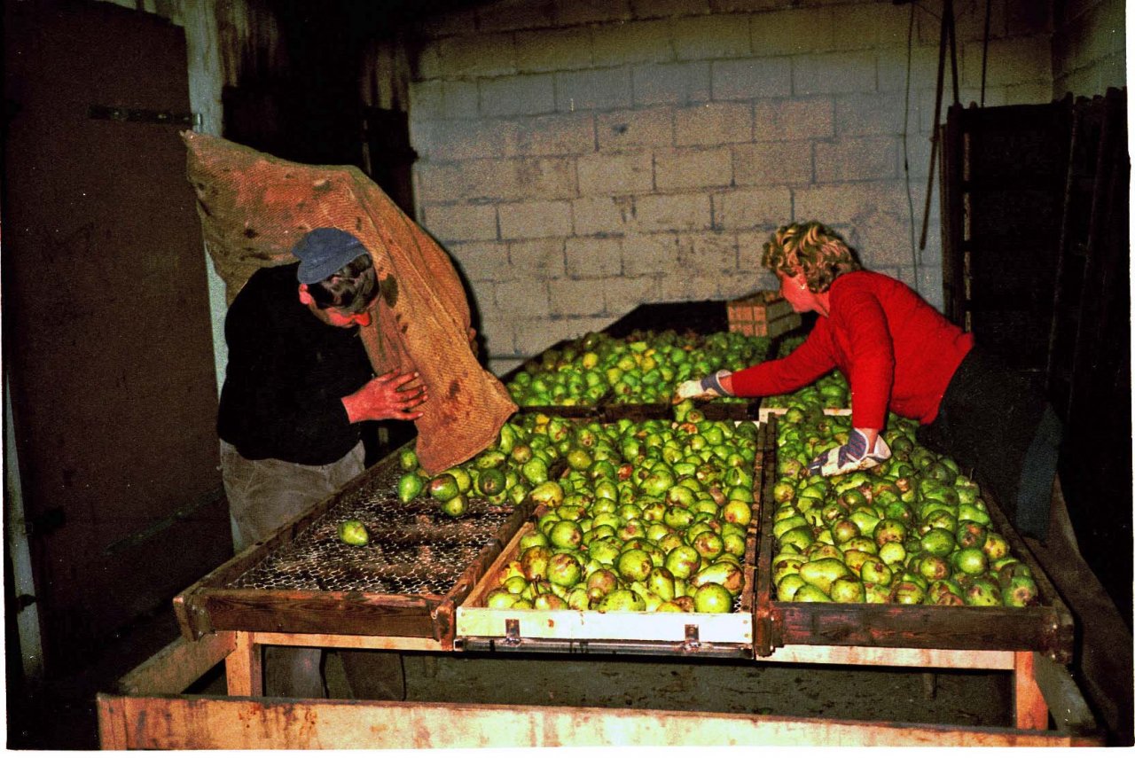 Baumfelderwirtschaft und traditionelle Dörrobstherstellung im Steigerwald