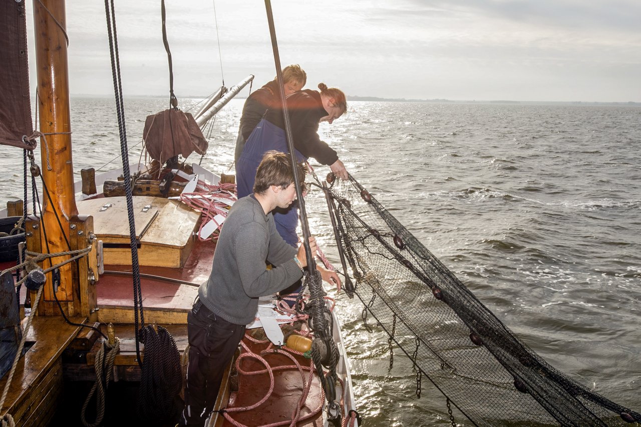 Die Bewahrung und Nutzung der Zeesboote in der Mecklenburg-Vorpommerschen Boddenlandschaft