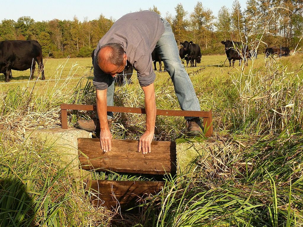 Wiesenbewässerung in den Queichwiesen zwischen Landau und Germersheim