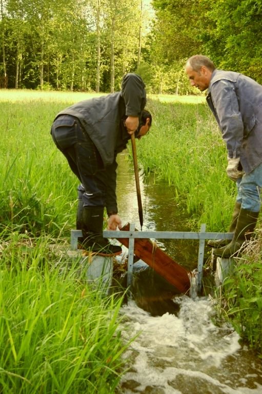 Wiesenbewässerung in den Queichwiesen zwischen Landau und Germersheim