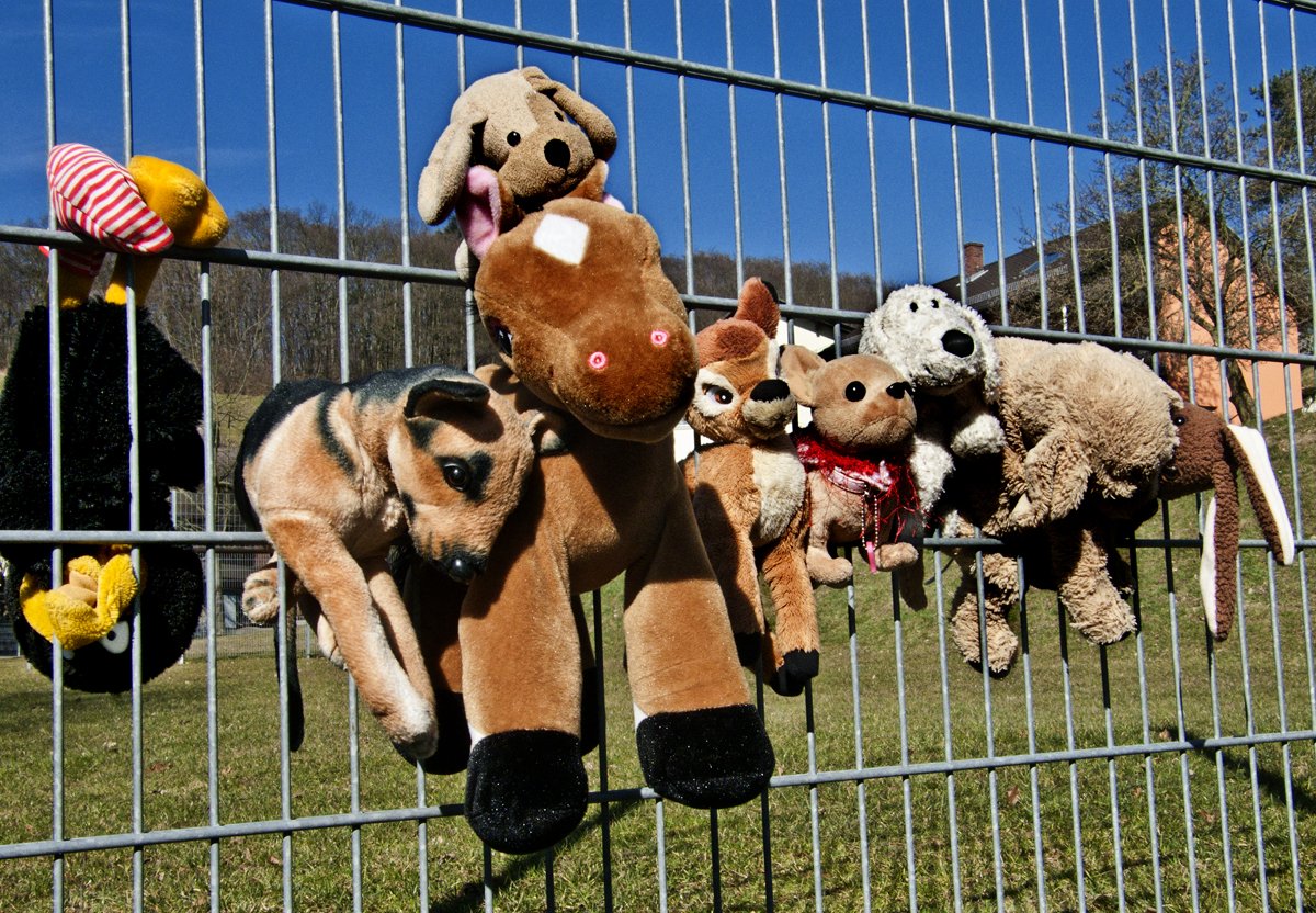 In einem Zaun hängen diverse Kuscheltiere 