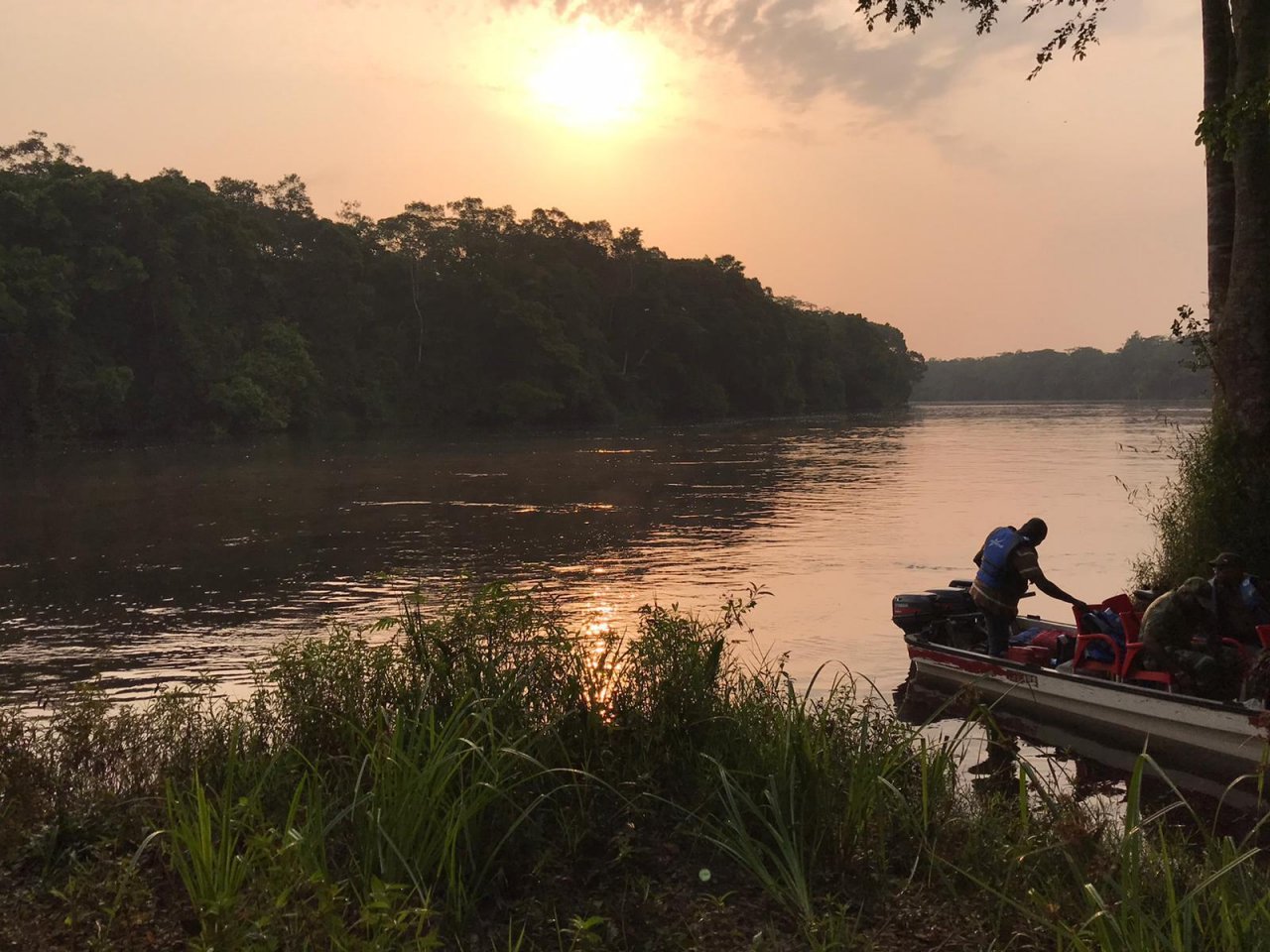 Nationalpark Salonga Fluss neben Wald