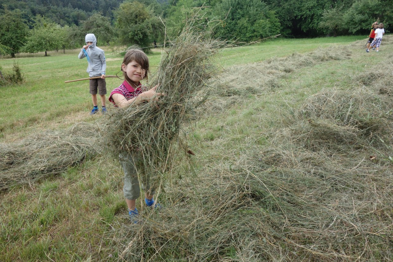 Bei der Heuernte