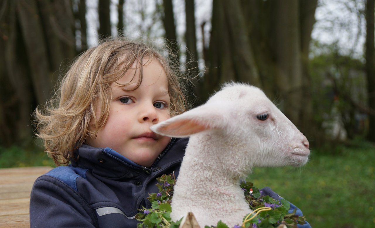 Natur- und Tierliebe praktisch