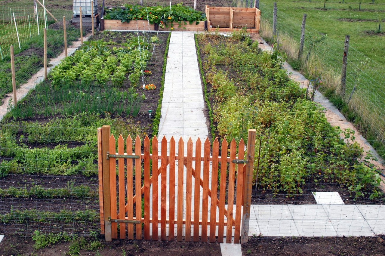 Gemüsegarten Natureerlebnishof Helle e.V. 