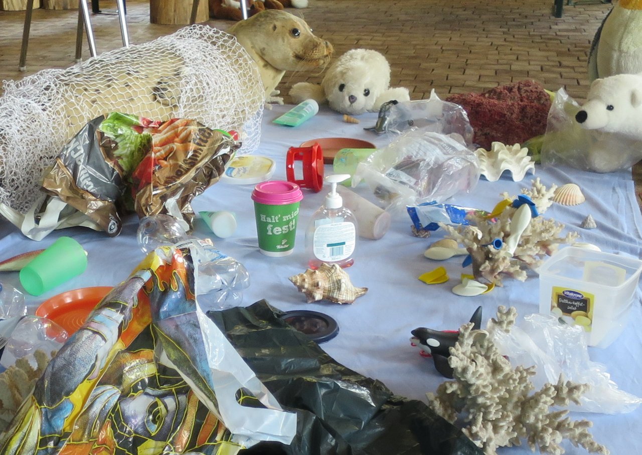 Unterrichtseinheit "Plastikmüll in unseren Ozeanen und Meeren"