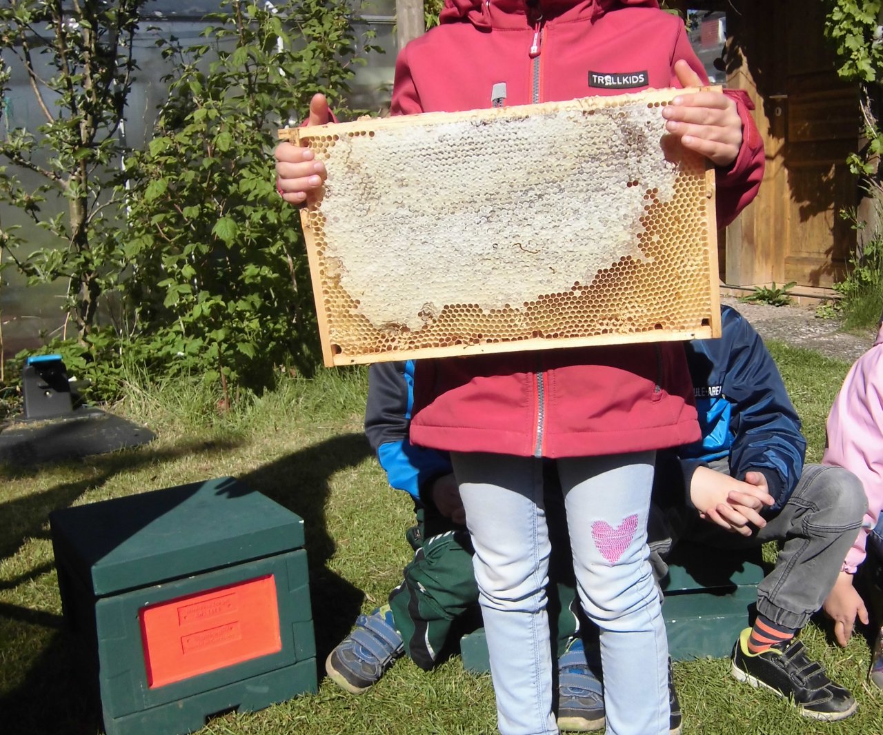 Jährlicher Besuch beim Imker