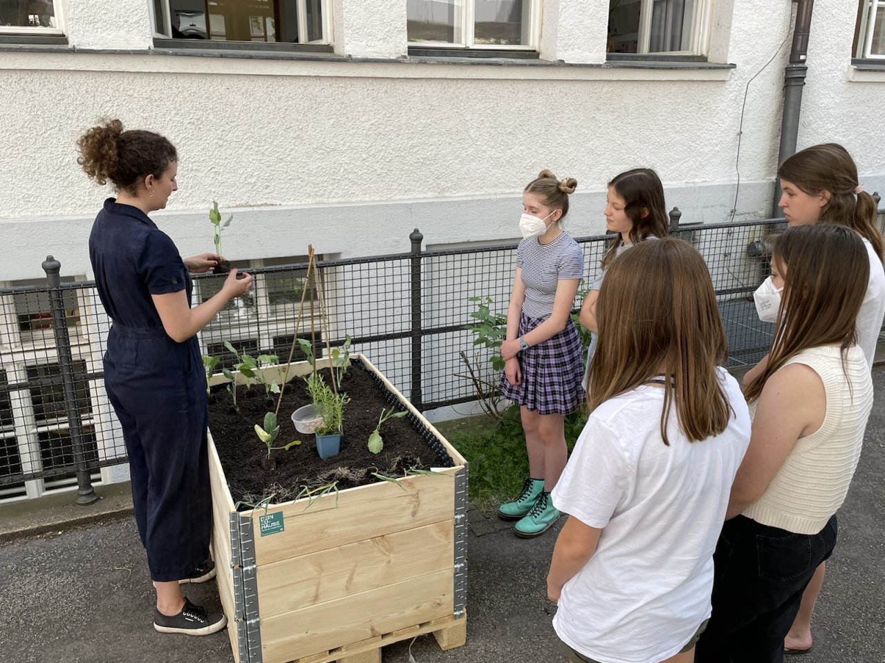Befplanzung eines Hochbeets von Schülerinnen unter Anleitung