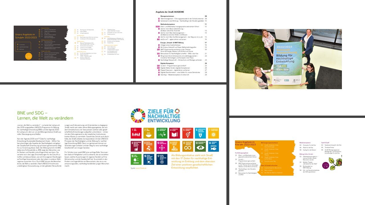 BNE in den Bildungsprogrammen