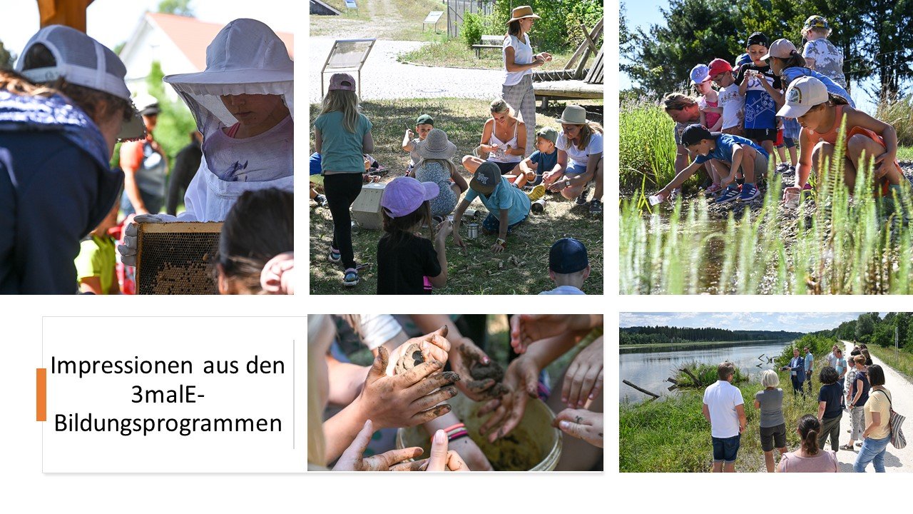 Impressionen aus den Bildungsprogrammen