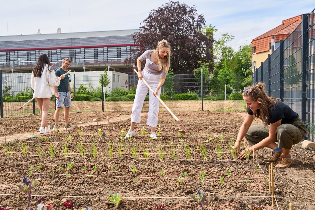 Junge Menschen arbeiten auf einem Acker.
