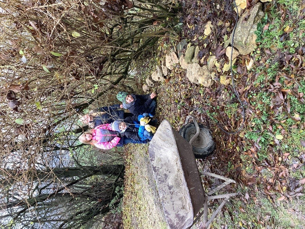 Biodiversität: Lebensraum Hecke