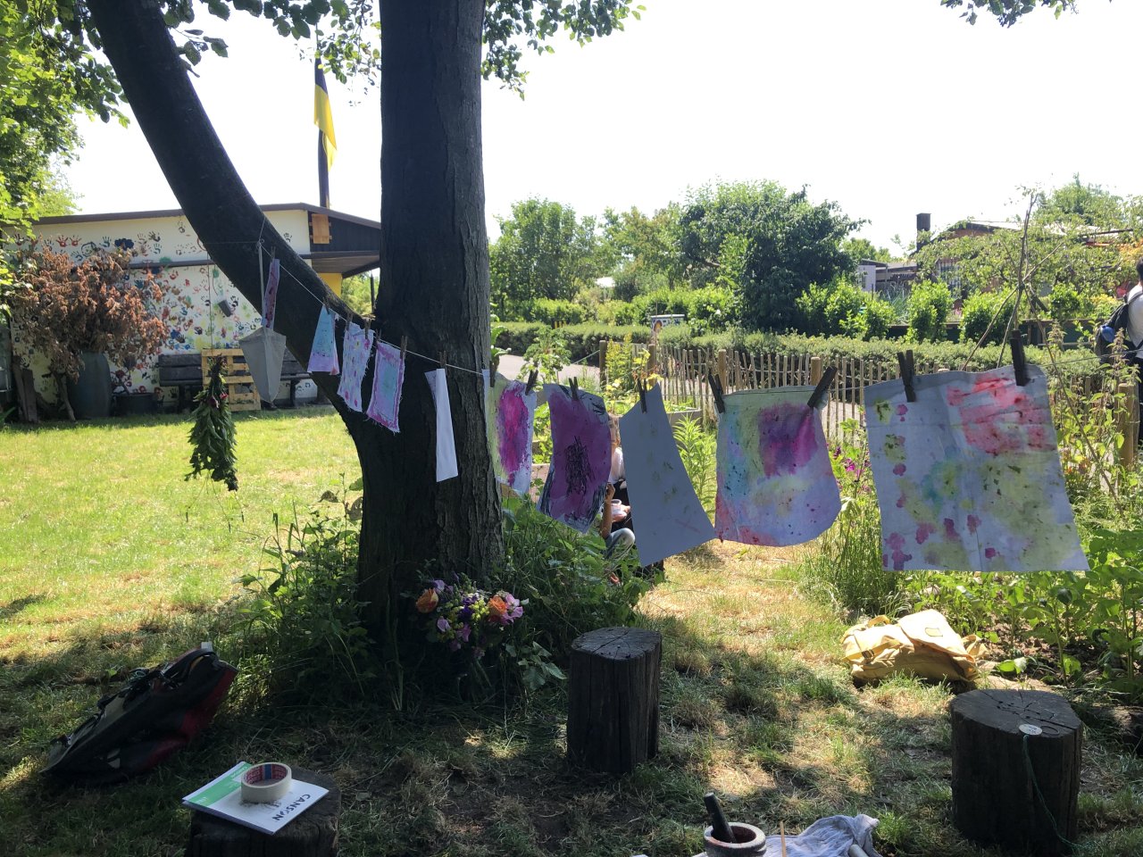 Pflanzenfarben im Garten