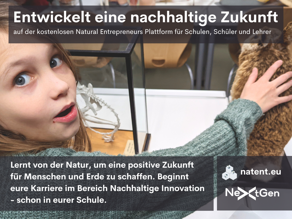 Entwickelt eine nachhaltige Zukunft mit MINT - Natural Entrepreneurs
