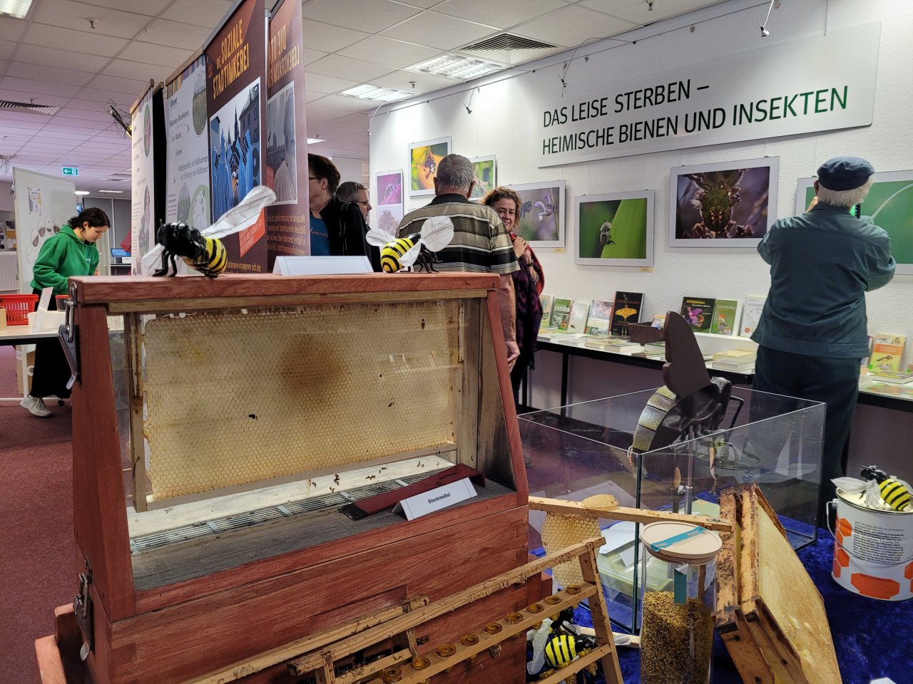 Die Soziale Stadtimkerei bei der Insektenausstellung der Anna Seghers Bibliothek
