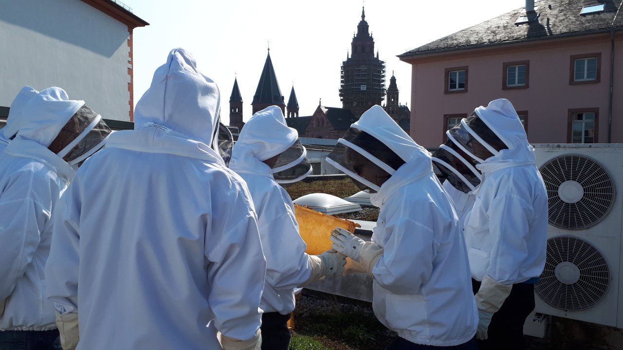 Bienen auf dem Dach des Mainzer Staatstheaters
