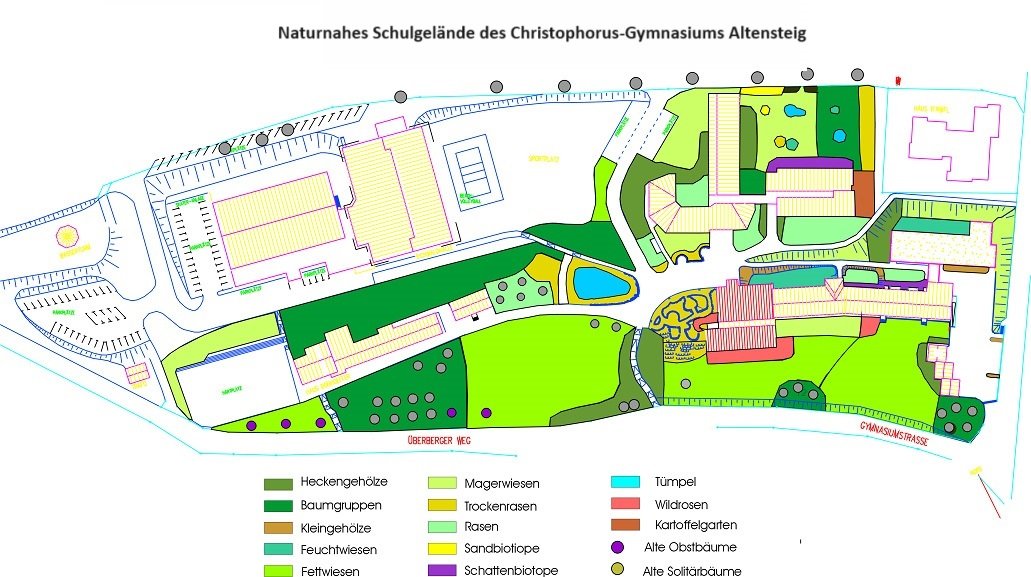 Das naturnahe Schulgelände des Christophorus-Gymnasiums Altensteig