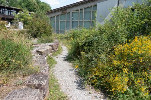 Naturerlebnis-Schulhof
