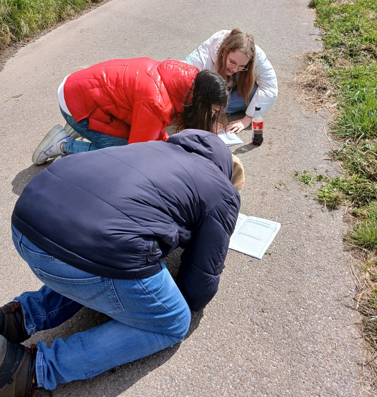 Gruppenarbeit auf dem Gelände des Weinguts Clauer in Heidelberg