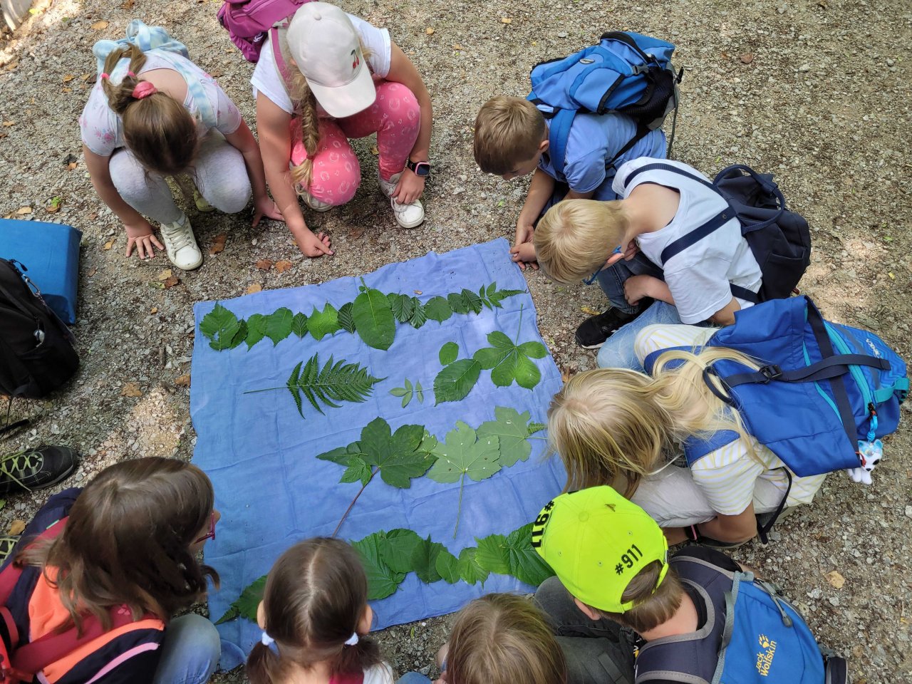 Eine Kindergruppe beugt sich über ein Tuch mit verschiedenen Blättern.