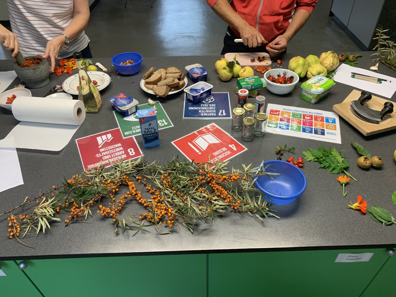 Kochen mit Wildfrüchten und SDGs