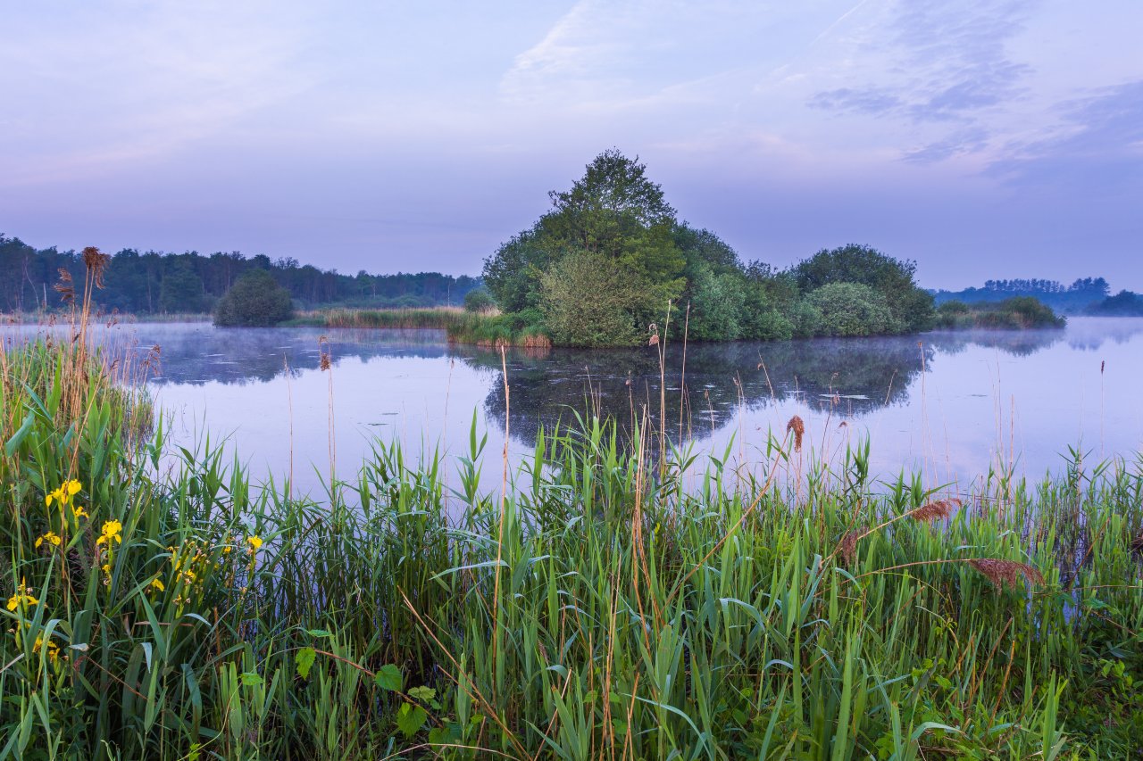 Blick vom Ufer auf einen See des Kempen-Broek Biosphärenreservats in Belgien und den Niederlanden in der Morgendämmerung.