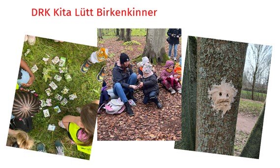 In der DRK Kita „Lütt Birkenkinner“ lernen die Kinder über  vielfältige Projekte den Umgang mit der Natur und Umwelt kennen. Dabei erleben sie den Wald hautnah mit allen Sinnen.