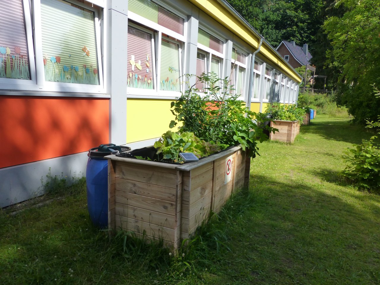 Hochbeete mit Gemüse