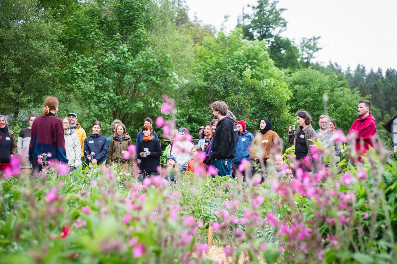 Im Vordergrund sind unscharf Blumen zu sehen, im Hintegrund des Bildes eine Gruppe von Menschen bei einer Gartenführung.