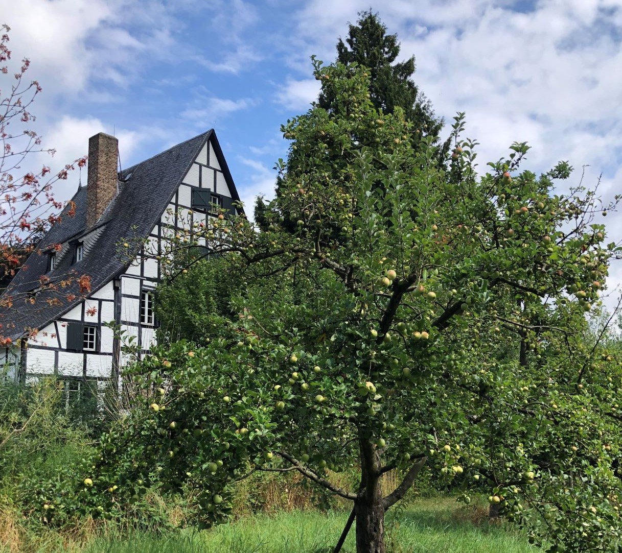 VHS-Biogarten Thurner Hof