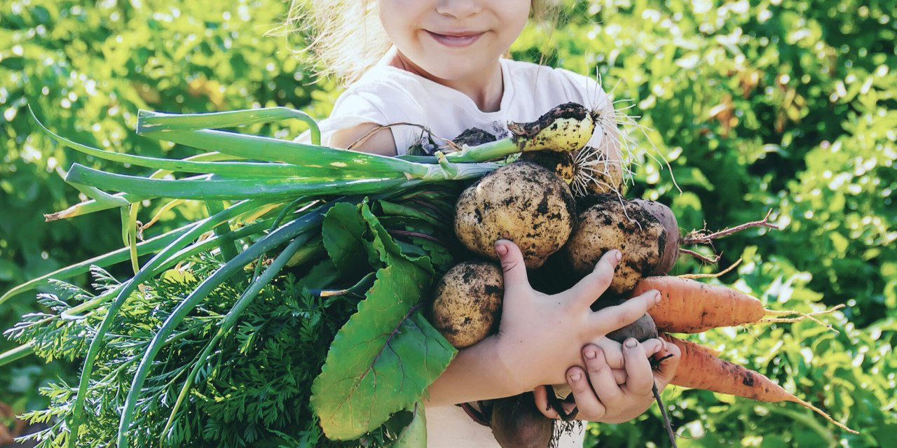 Hier lernen Kinder, ihr eigenes Gemüse anzubauen!