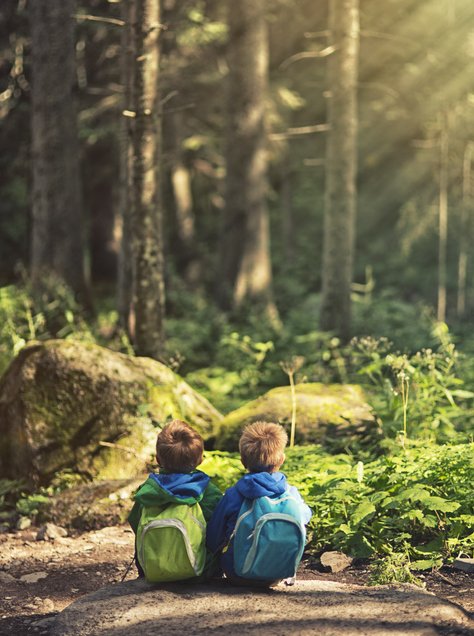 Lernen, sich in der Natuer zu hause zu fühlen und sie zu schätzen