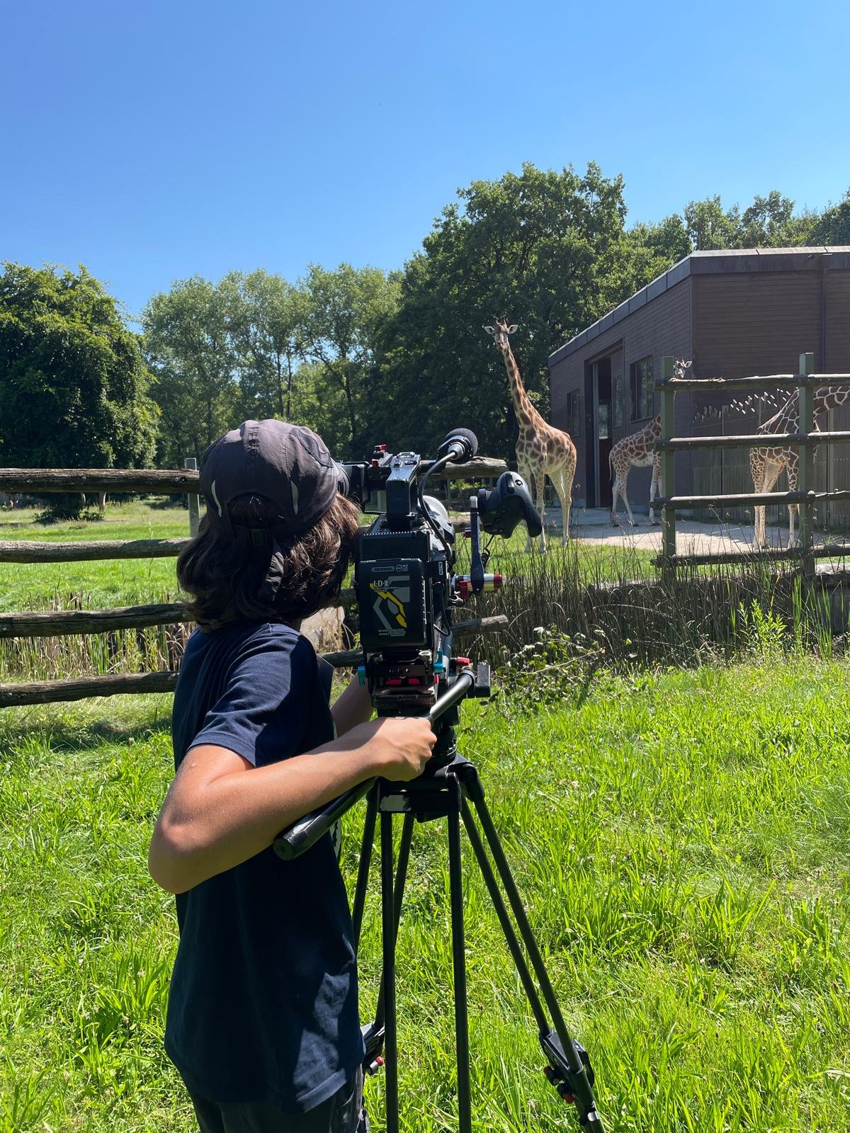 Tierische Filmstars