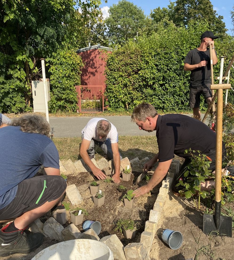 Bau eines Klimabeets bei einem DAUCUM Workshop.