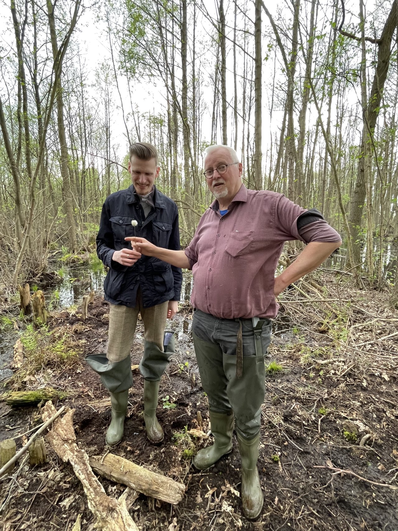 Student Marc Kueperkoch erntet Wollgras im Moor mit Prof. Dr. Hans Joosten Uni Greifswald und Greifswald Moorzentrum