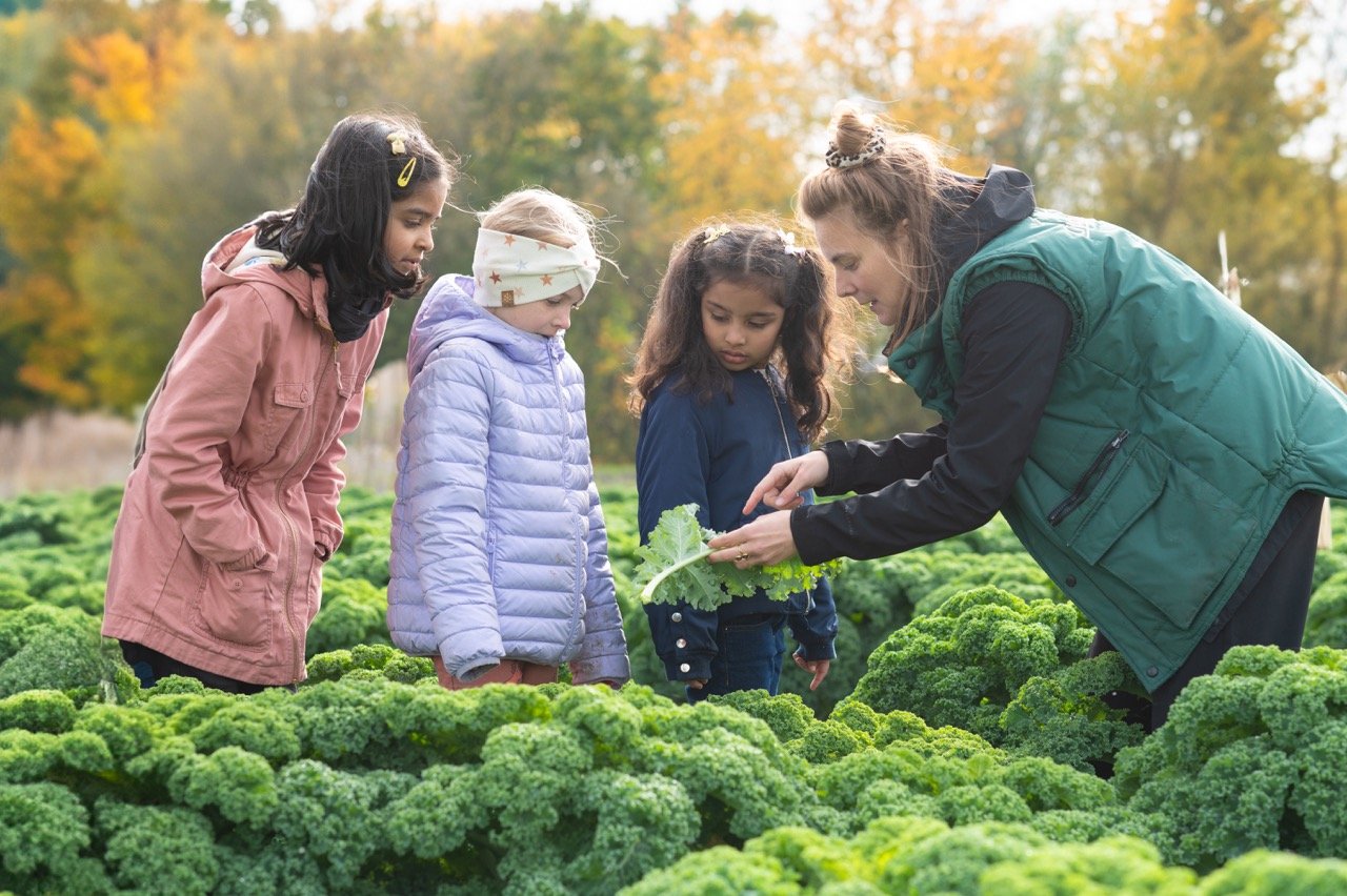Eine Mitarbeiterin und drei Kinder stehen im Grünkohlfeld und schauen sich ein Blatt aus der Nähe an.