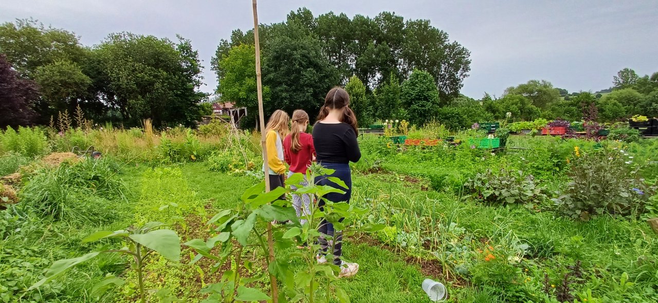 Eine Schulklasse begleitet in Ganztagesveranstaltung, ein Landwirtschaftliches Schuljahr bei uns. In mehreren Kleingruppen an verschiedenen Stationen, unterschiedlicher Inhalt!